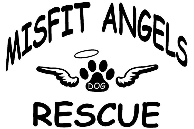 Misfit Angels Rescue