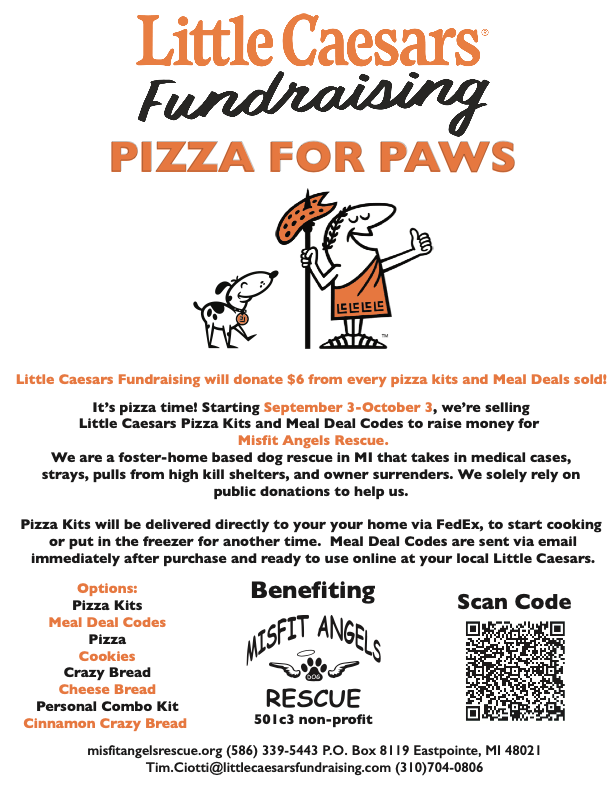 Pizza Flyer